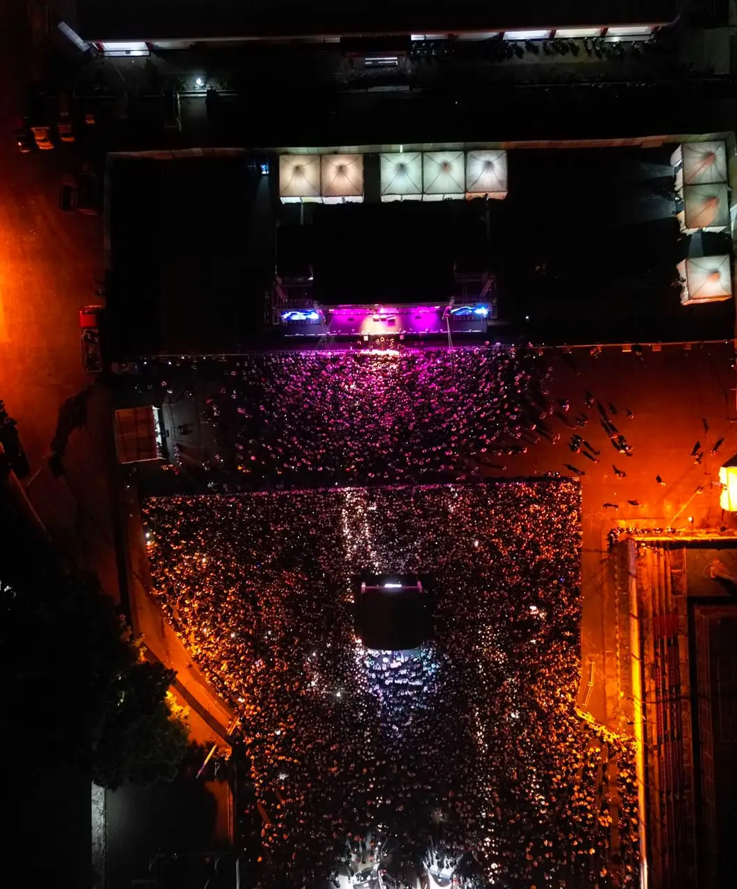 Festival Vibe
